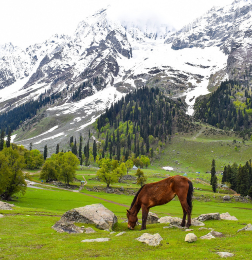 Kashmir